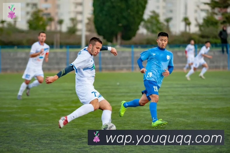 开云kaiyun官网品牌故事